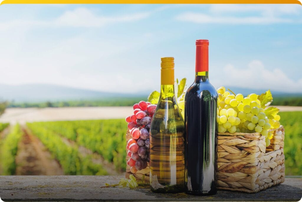Bouteilles de vin blanc et de vin rouge devant un vignoble, avec des grappes de raisin
